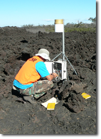 Staff downloading rainfall data from a raingauge at Puhakuloa training area, Big Island. 