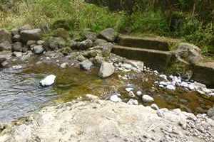 Diversion on Waialeale Stream (West Branch of the North Fork Wailua River)