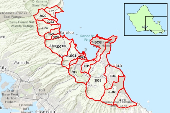 Ko‘olau Loa Region Surface Water Hydrologic Units