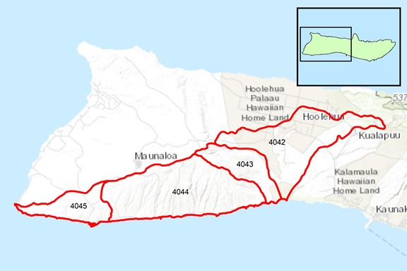 Kaluako‘i Region Surface Water Hydrologic Units