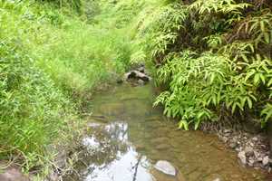 West Kolea Stream above Wailoa Ditch