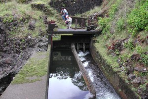 West Wailuaiki Stream Intake