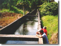 CWRM Staff take water flow readings from the Lower Hamakua Ditch on the Island of Hawaii. The ditch captures water from the wet, northern side of the island and transports the water to various agricultural users along the eastern Hamakua coastline.