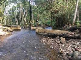 Downstream view of the po‘owai (diversion) on Wai‘oli Stream