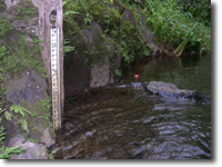 A Staff Gauge is used to measure water level.
