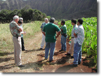 Staff at the Waimanalo Research Station, Oahu, Hawaii. 