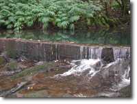 Diversion at Waiokamilo Stream, Maui, Hawaii.